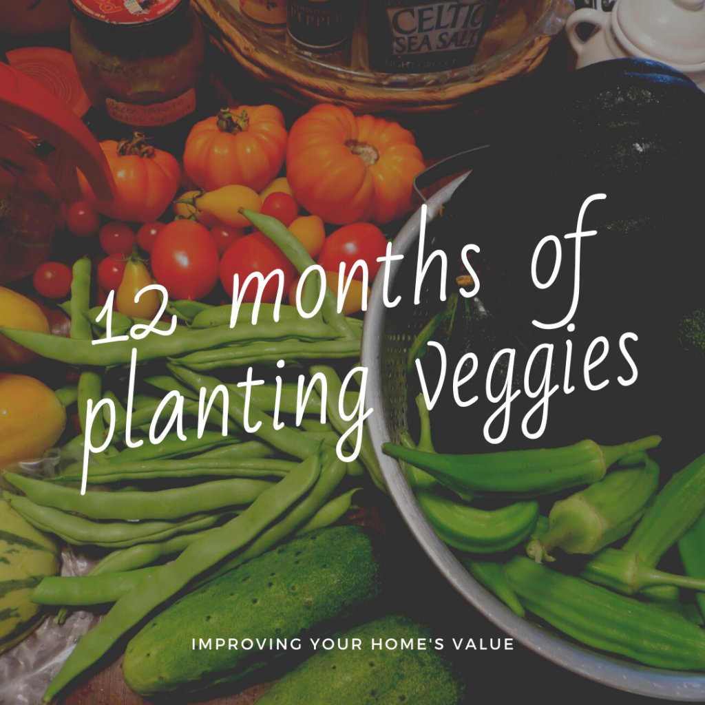 12 months of veggie planting